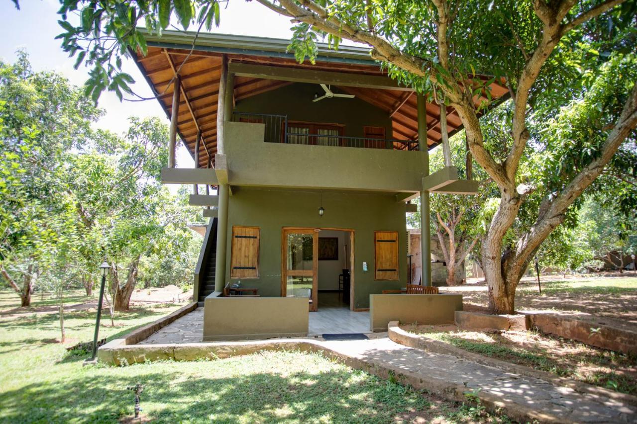 Kalu'S Hideaway Udawalawe Ξενοδοχείο Εξωτερικό φωτογραφία