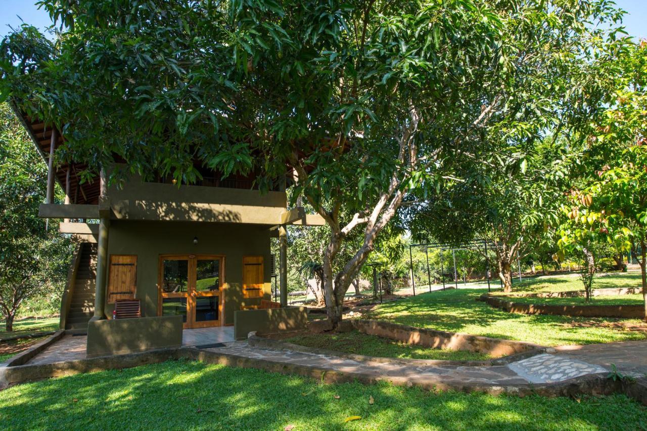 Kalu'S Hideaway Udawalawe Ξενοδοχείο Εξωτερικό φωτογραφία
