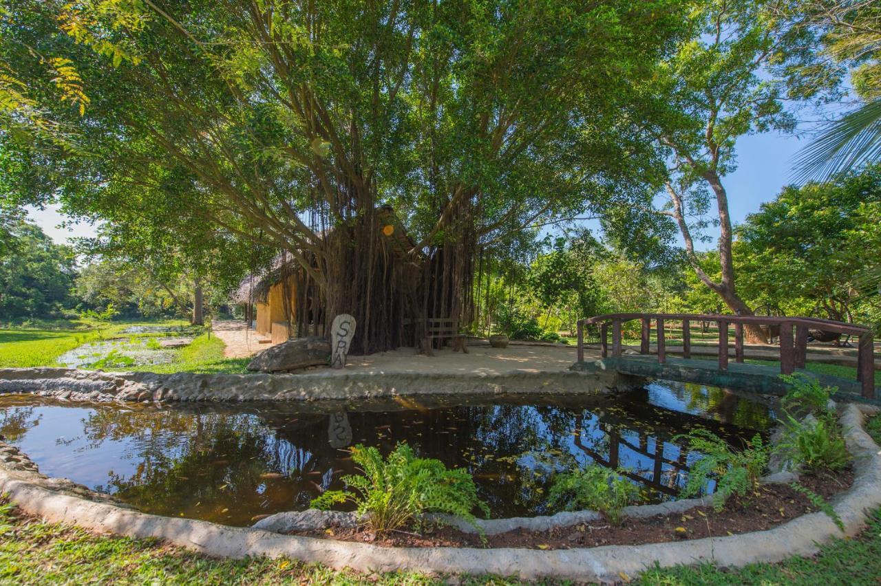 Kalu'S Hideaway Udawalawe Ξενοδοχείο Εξωτερικό φωτογραφία