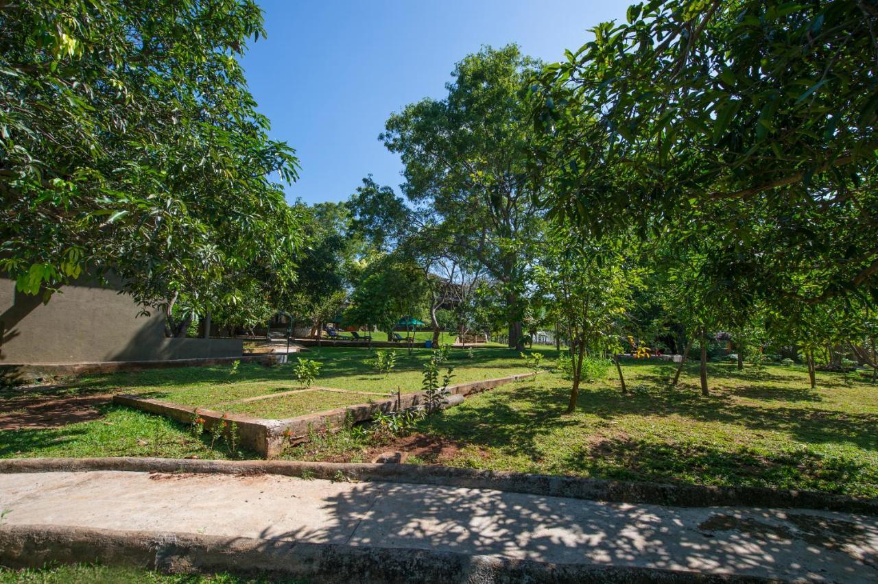 Kalu'S Hideaway Udawalawe Ξενοδοχείο Εξωτερικό φωτογραφία